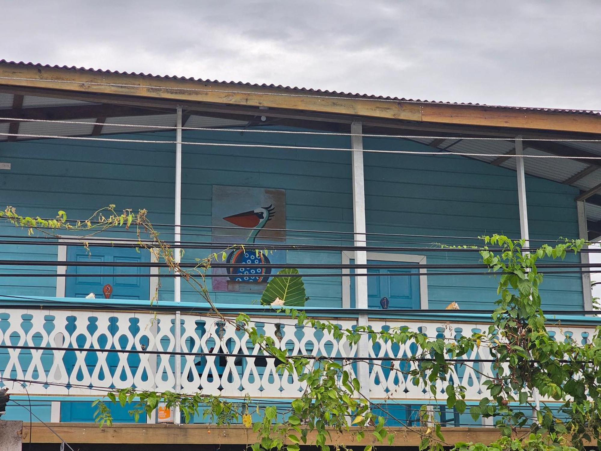 Casa Pelicano Bocas del Toro Exterior photo