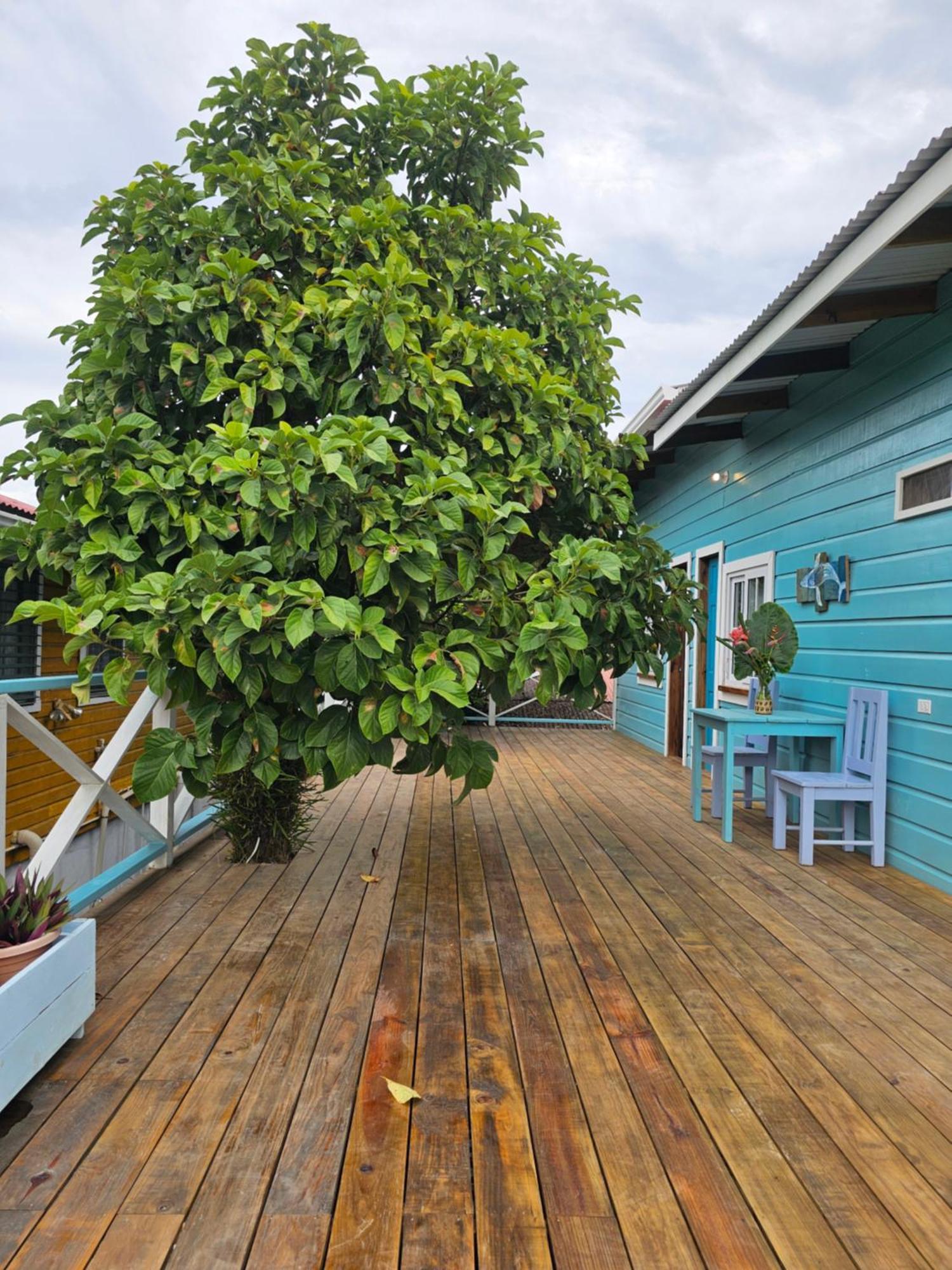 Casa Pelicano Bocas del Toro Exterior photo
